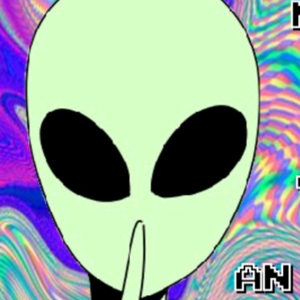 Meet your Posher, Shelby